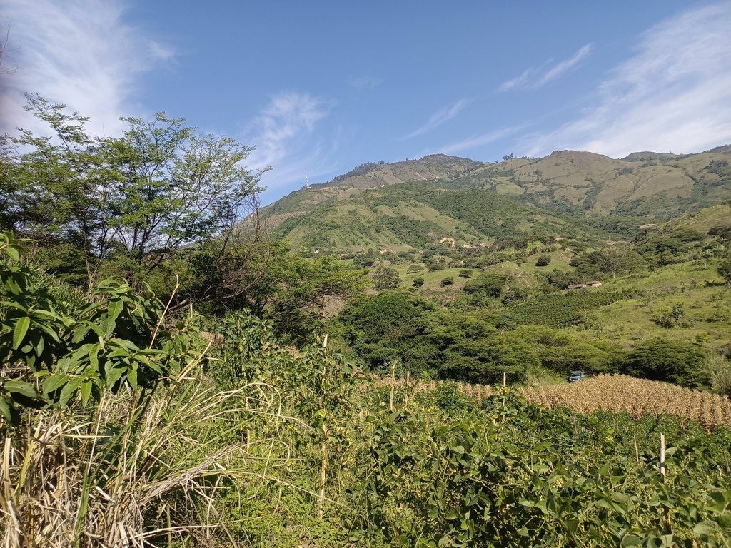 Finca San Bernabe/El Tambo/Catamayo