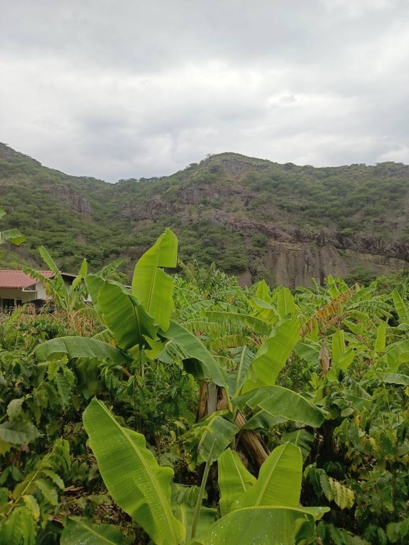 QUINTA SAN MIGUEL