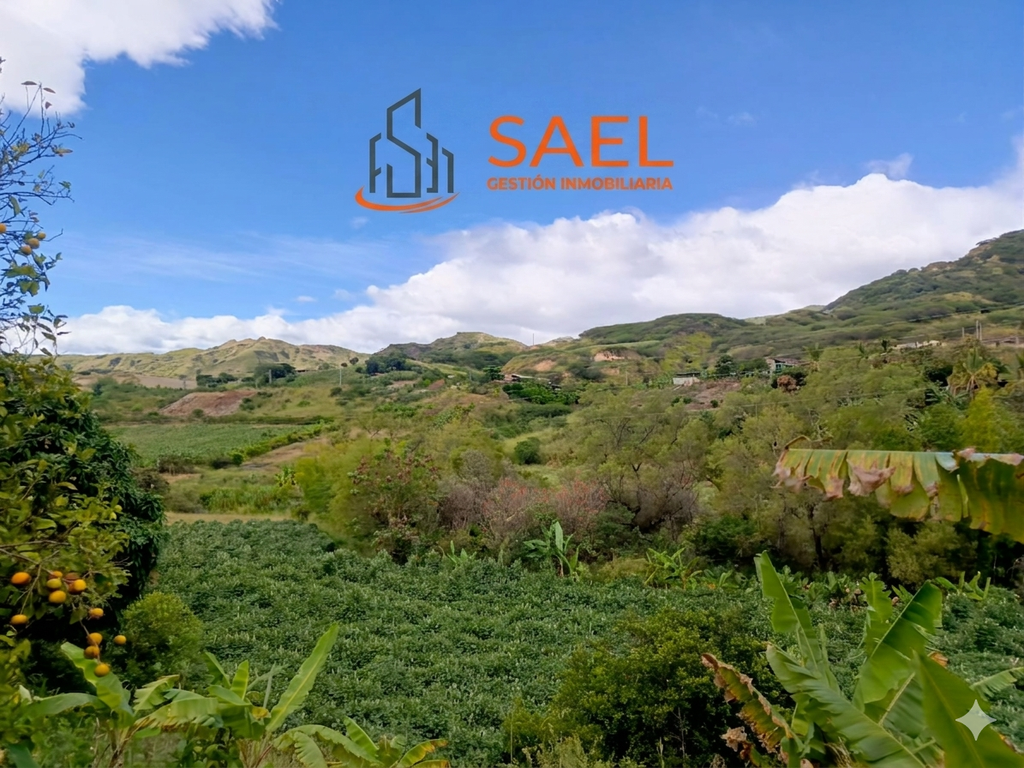 TERRENO EN VENTA EN SAN FRANCISCO – VÍA AL TAMBO