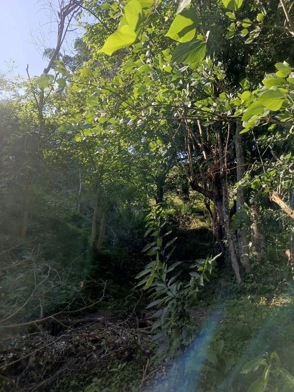 Finca San Bernabe/El Tambo/Catamayo