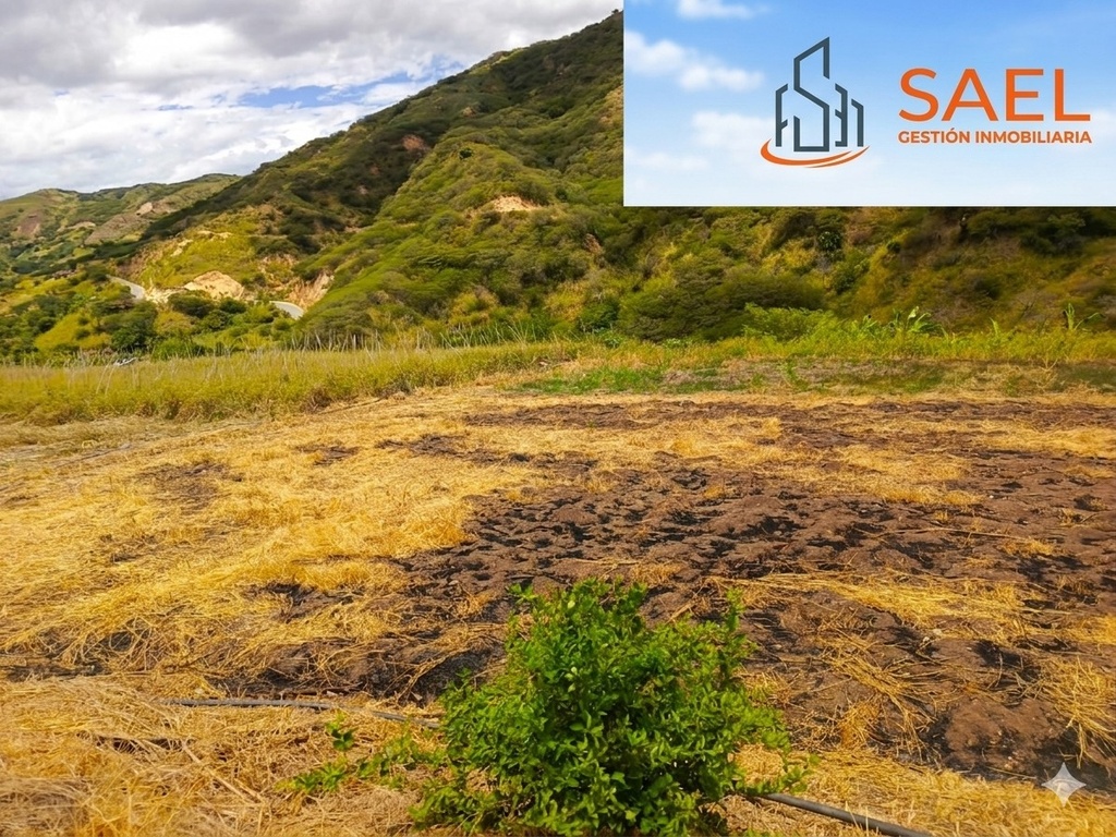 TERRENO EN JUANES