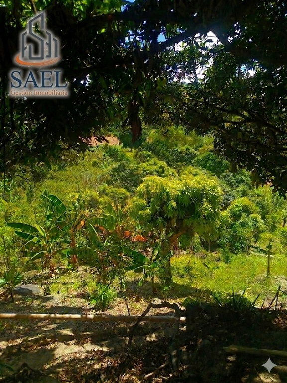 Hermosa Quinta sector La Extenza/El Tambo/Catamayo