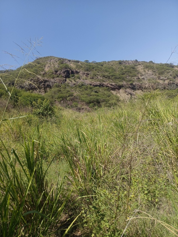 Finca San Miguel 1 (2 CUADRAS)