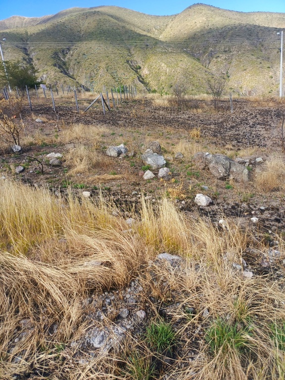 OPORTUNIDAD DE INVERSIÓN EN MIRAVALLE