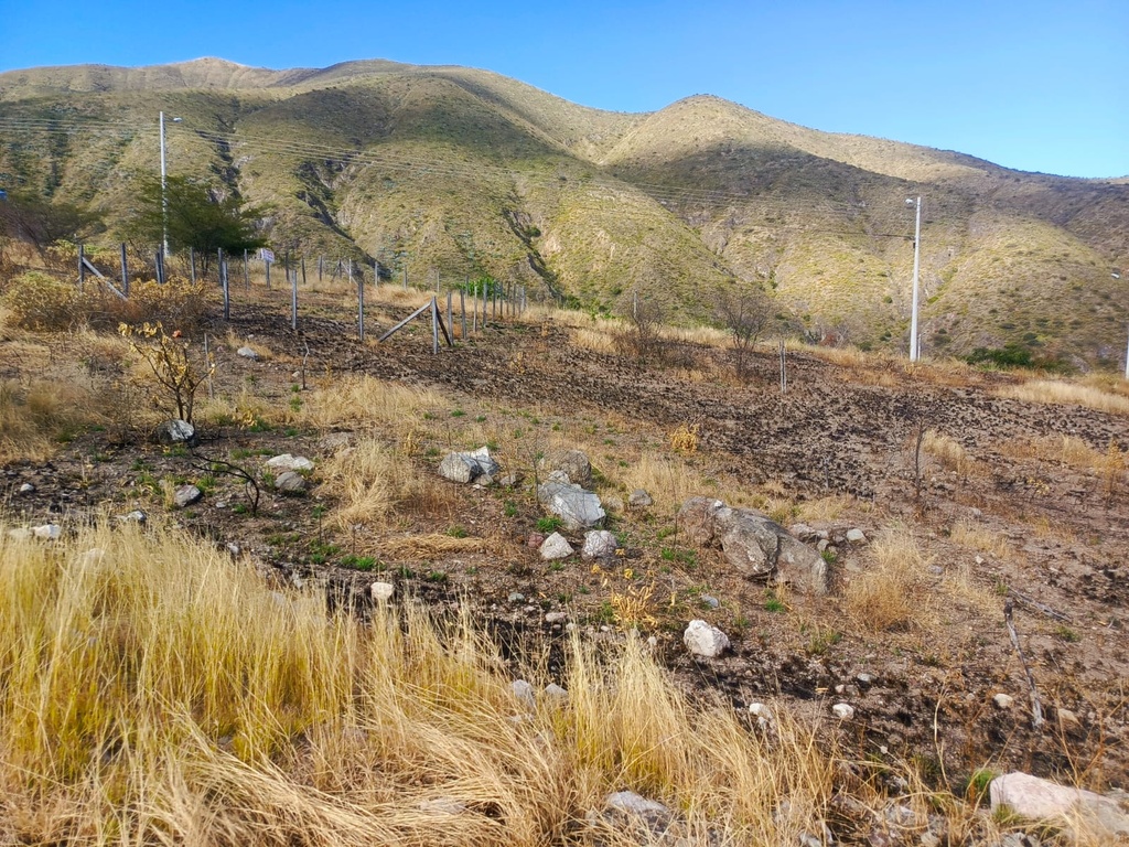 OPORTUNIDAD DE INVERSIÓN EN MIRAVALLE