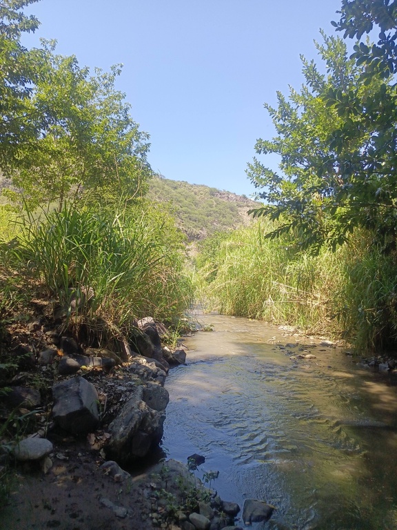 Finca San Miguel 1 (2 CUADRAS)