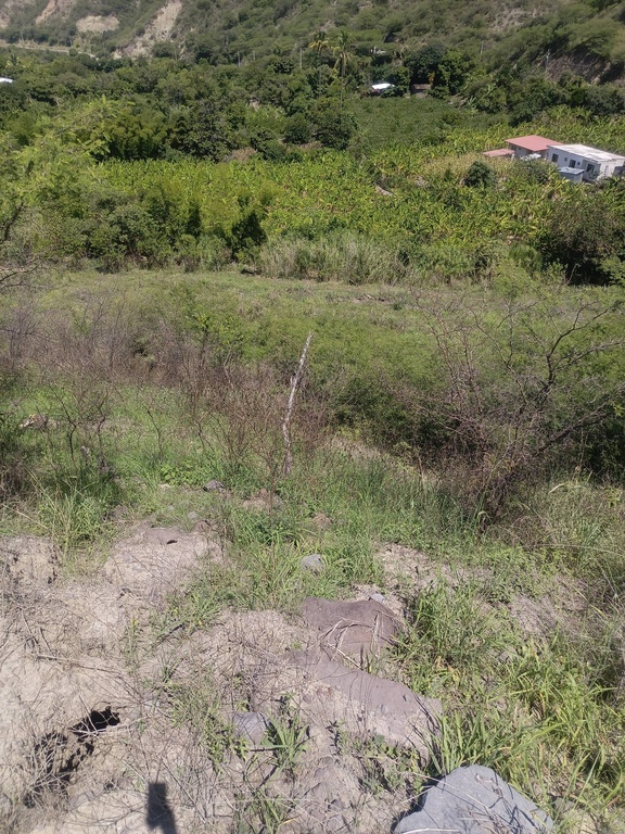 Finca San Miguel 1 (2 CUADRAS)