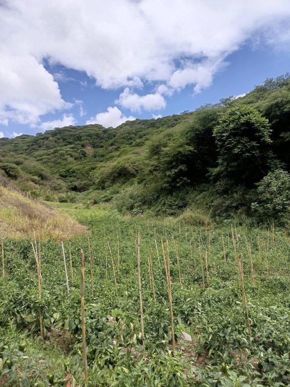 Terreno Huayco Bajo