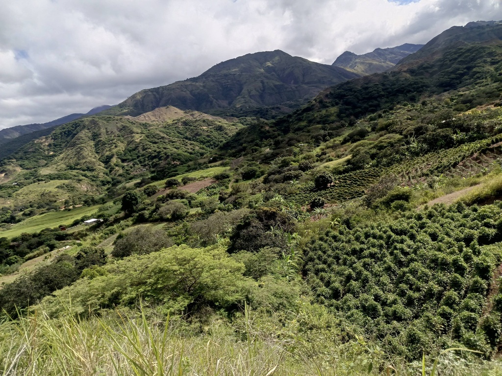 Terreno San Francisco (15.000 m2)
