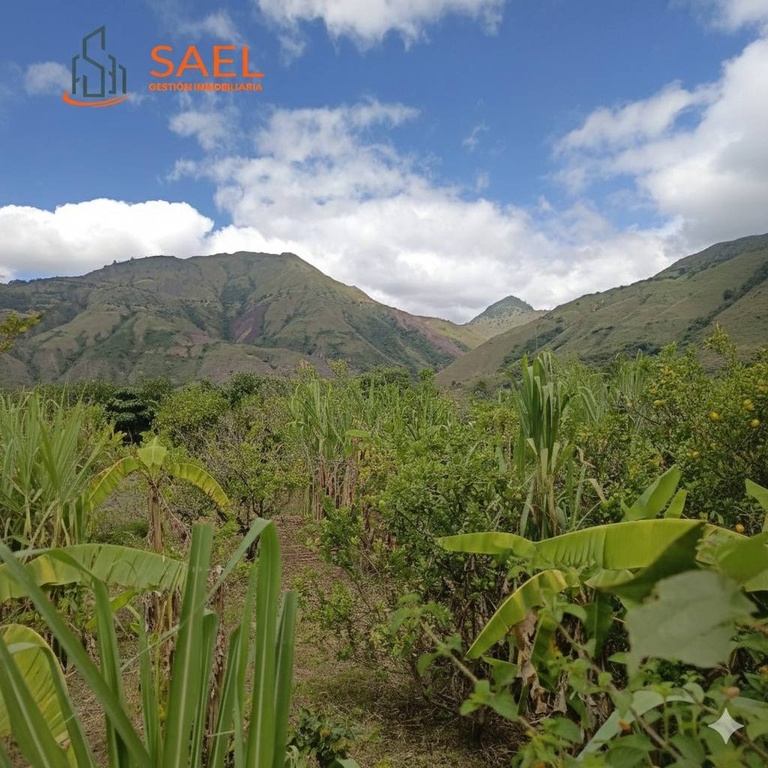 TERRENO LIMONAL/ELTAMBO/CATAMAYO