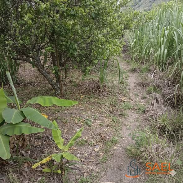 TERRENO LIMONAL/ELTAMBO/CATAMAYO