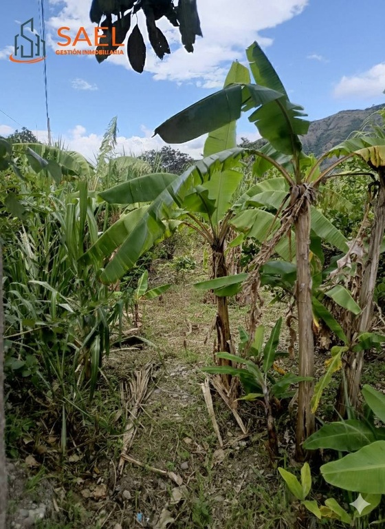 TERRENO LIMONAL/ELTAMBO/CATAMAYO