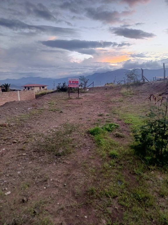 TERRENO TRAPICHILLO/CATAMAYO
