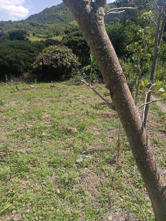 TERRENO LA CAPILLA/EL TAMBO/CATAMAYO