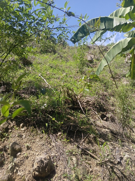 TERRENO LA CAPILLA/EL TAMBO/CATAMAYO