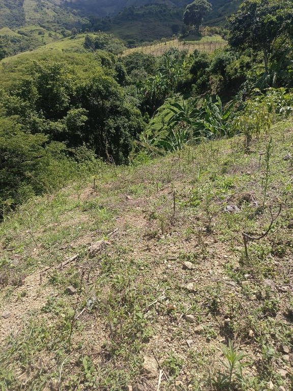 TERRENO LA CAPILLA/EL TAMBO/CATAMAYO