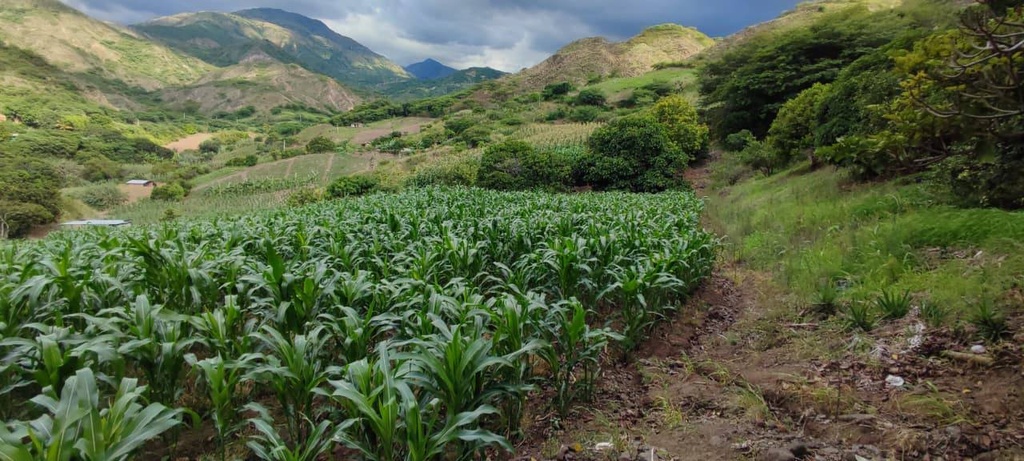 TERRENO SAN MIGUEL 2 /EL TAMBO/CATAMAYO