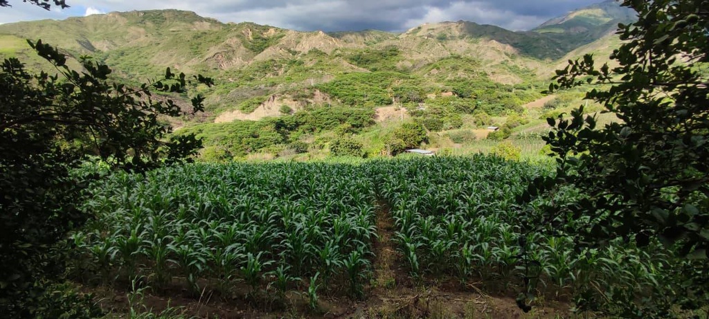 TERRENO SAN MIGUEL 2 /EL TAMBO/CATAMAYO