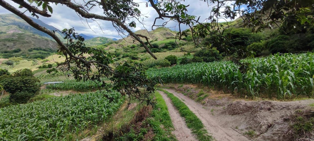TERRENO SAN MIGUEL 2 /EL TAMBO/CATAMAYO