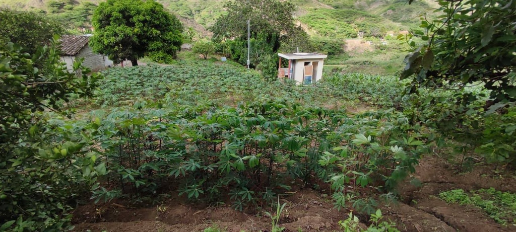 TERRENO SAN MIGUEL 2 /EL TAMBO/CATAMAYO