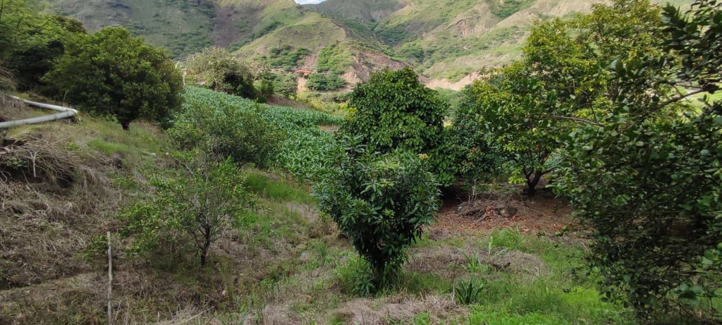 TERRENO SAN MIGUEL 2 /EL TAMBO/CATAMAYO