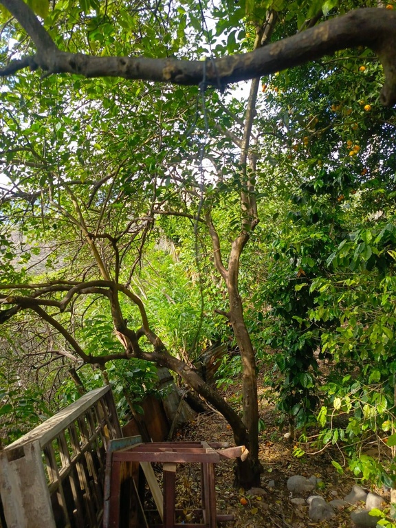 CASA SAN ANTONIO/CATAMAYO