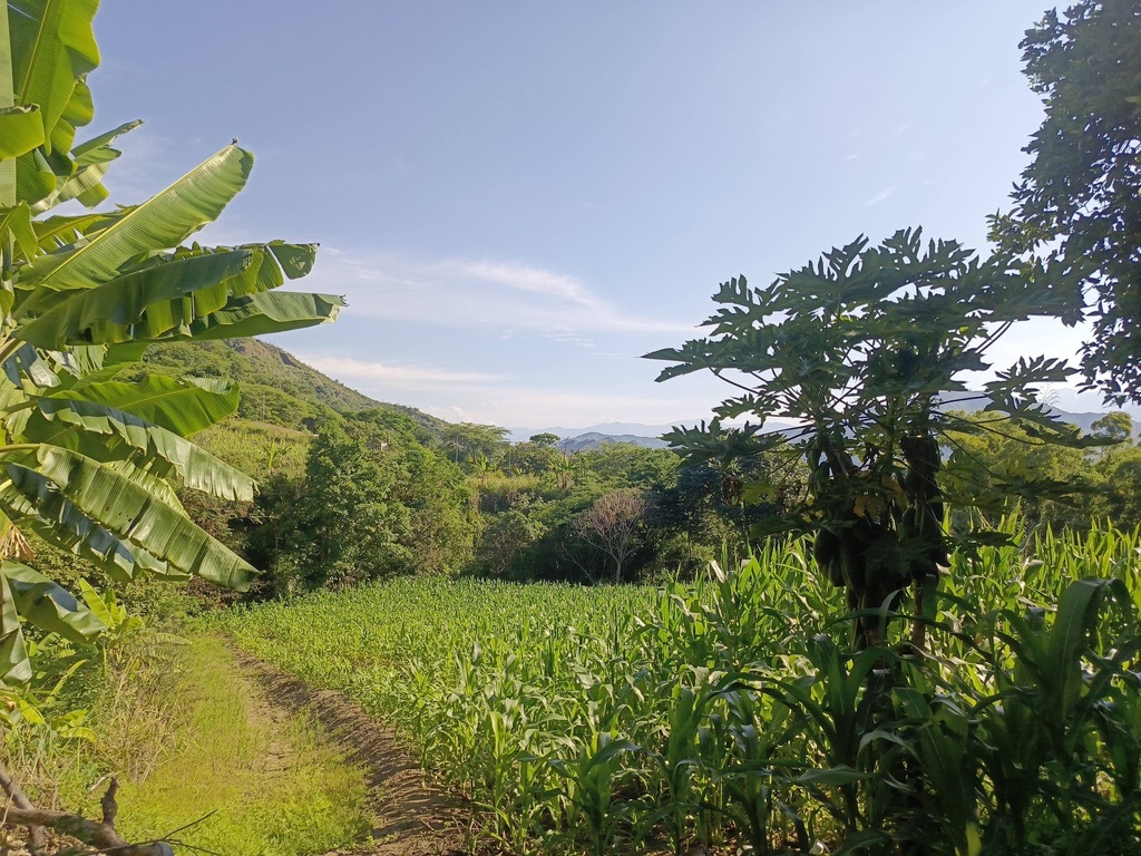 Finca San Bernabe/El Tambo/Catamayo